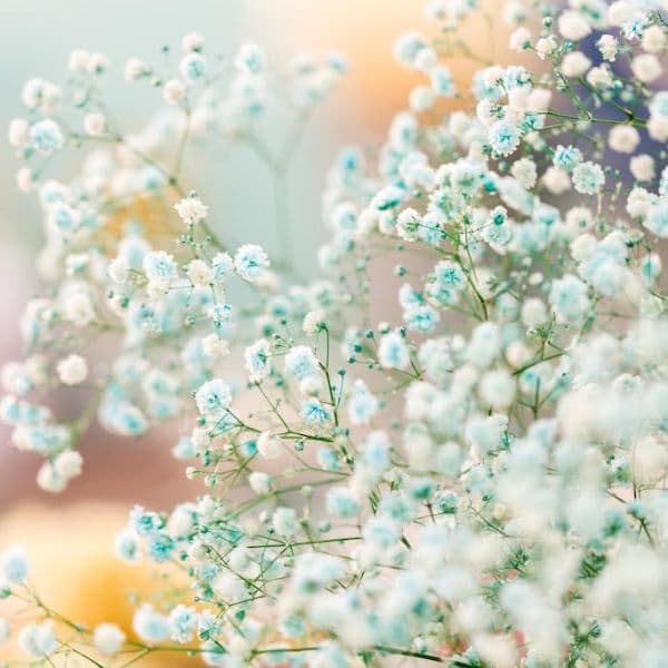 ギャラリー画像10