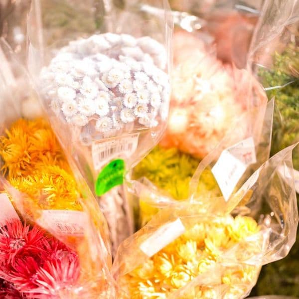 ギャラリー画像15