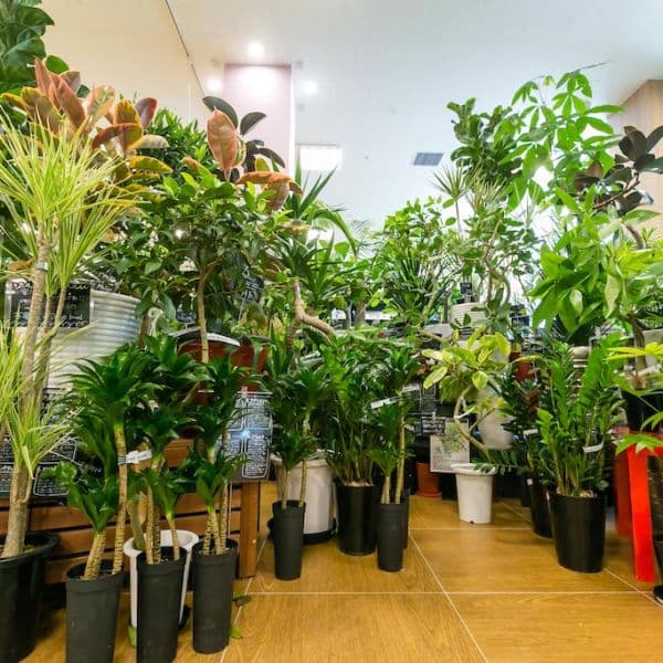 ギャラリー画像16