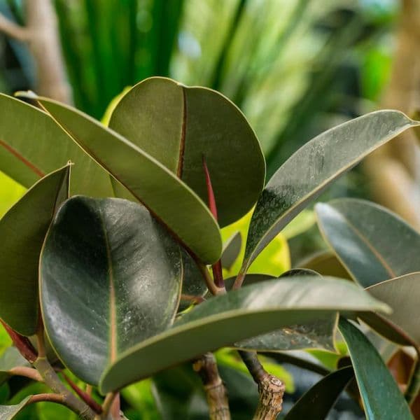 ギャラリー画像18