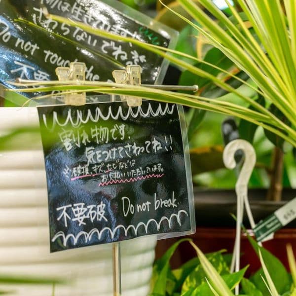 ギャラリー画像19