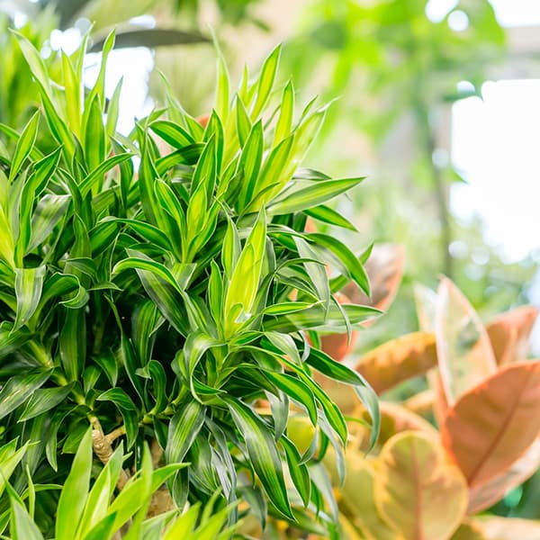 ギャラリー画像2