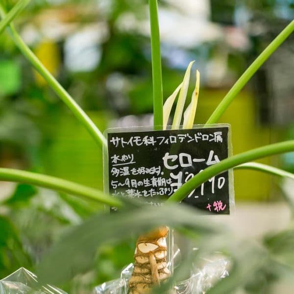 ギャラリー画像21