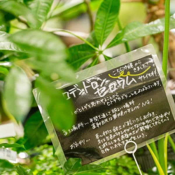 ギャラリー画像22