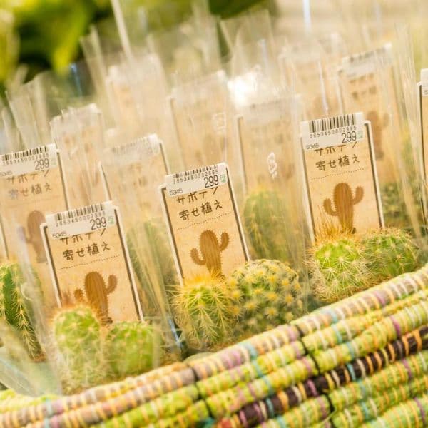 ギャラリー画像23