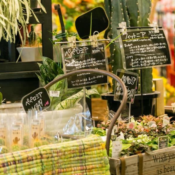 ギャラリー画像24