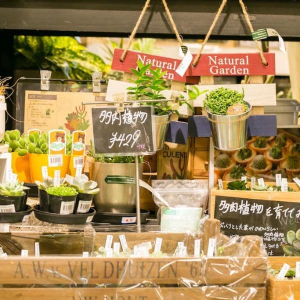 ギャラリー画像25