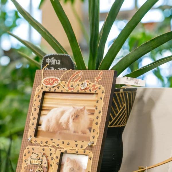 ギャラリー画像31