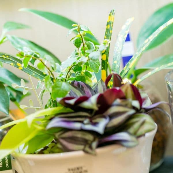 ギャラリー画像38