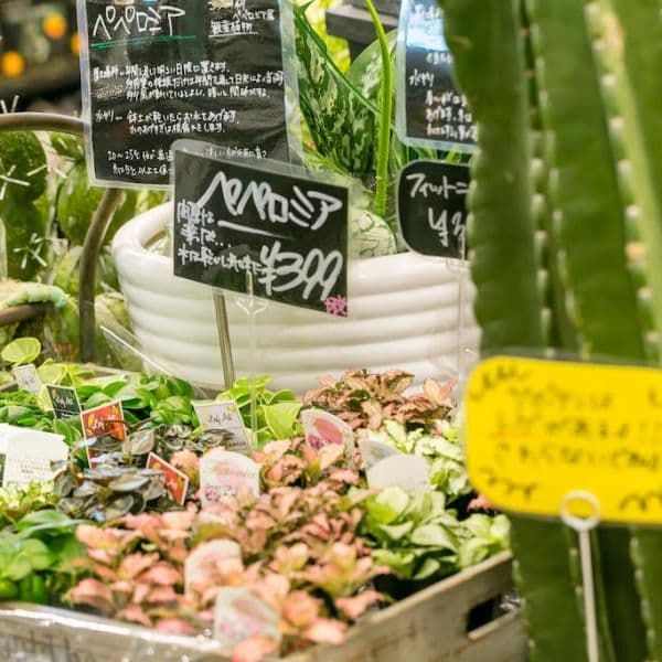 ギャラリー画像39