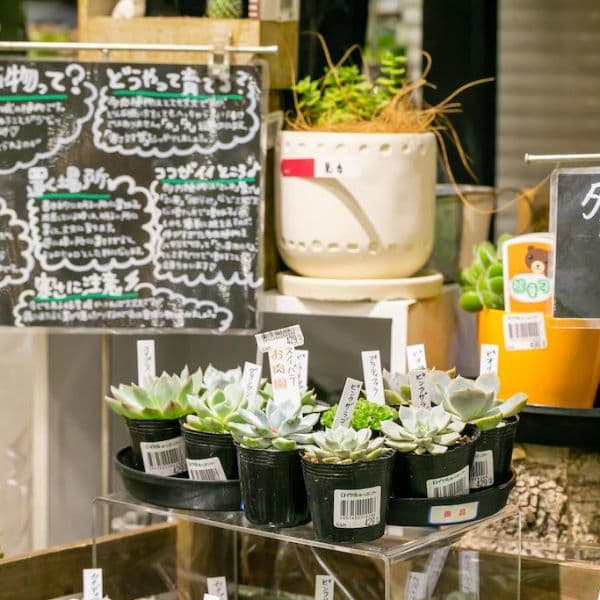 ギャラリー画像46