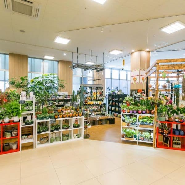 ギャラリー画像47