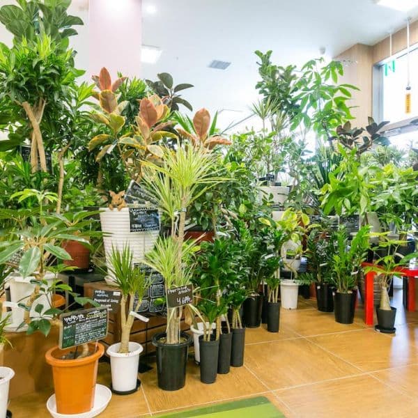 ギャラリー画像48