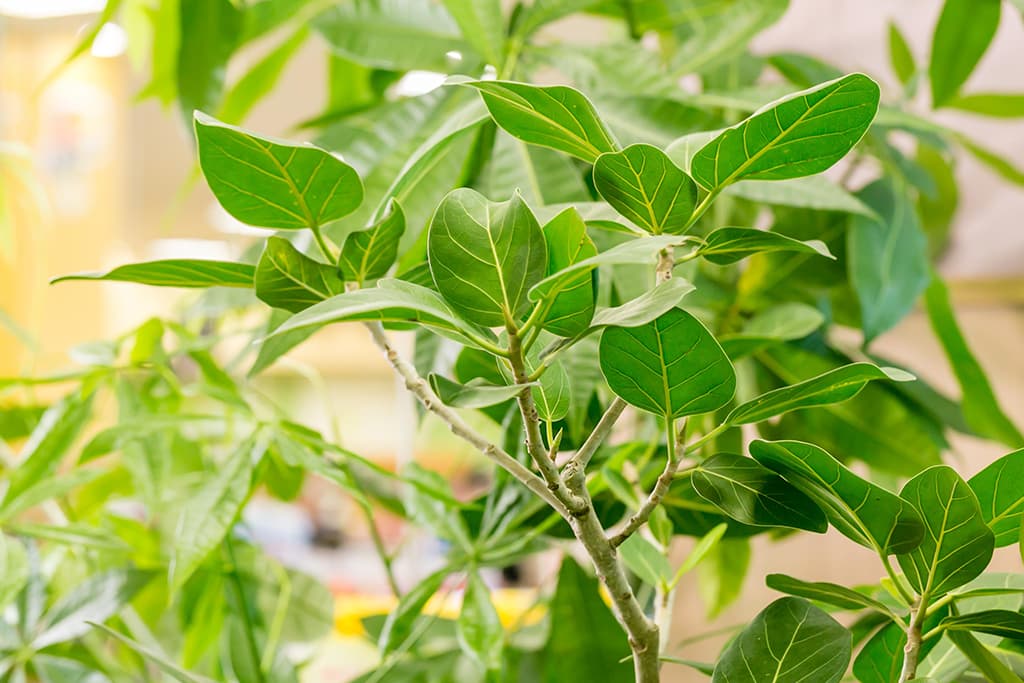 ギャラリー画像4