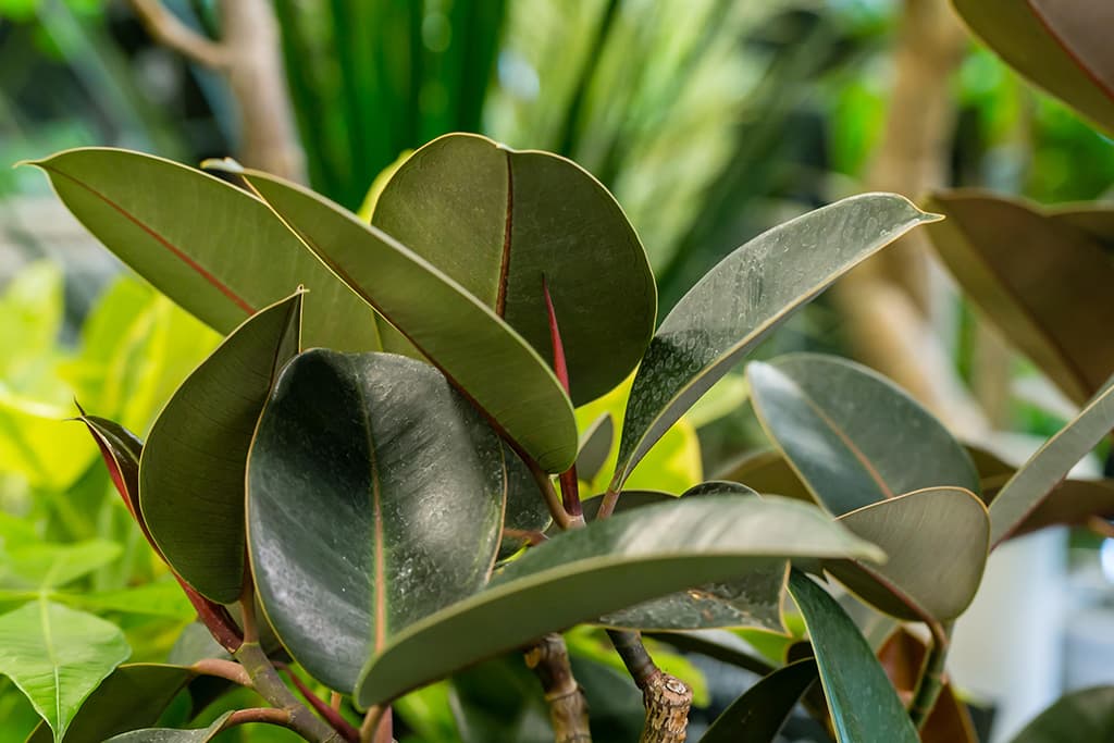 ギャラリー画像8