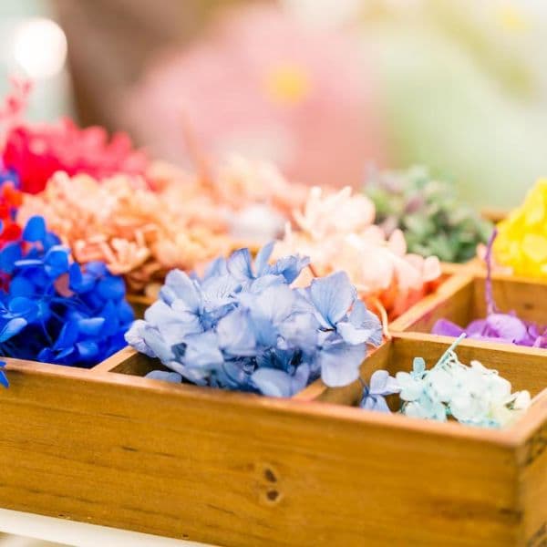 ギャラリー画像9